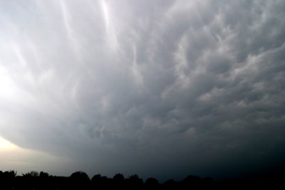 Eifelmammatus0507 016K.jpg